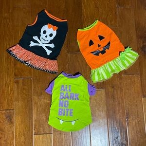 Martha Stewart Pets Bundle of 3 Halloween Outfits for Dogs Size Large